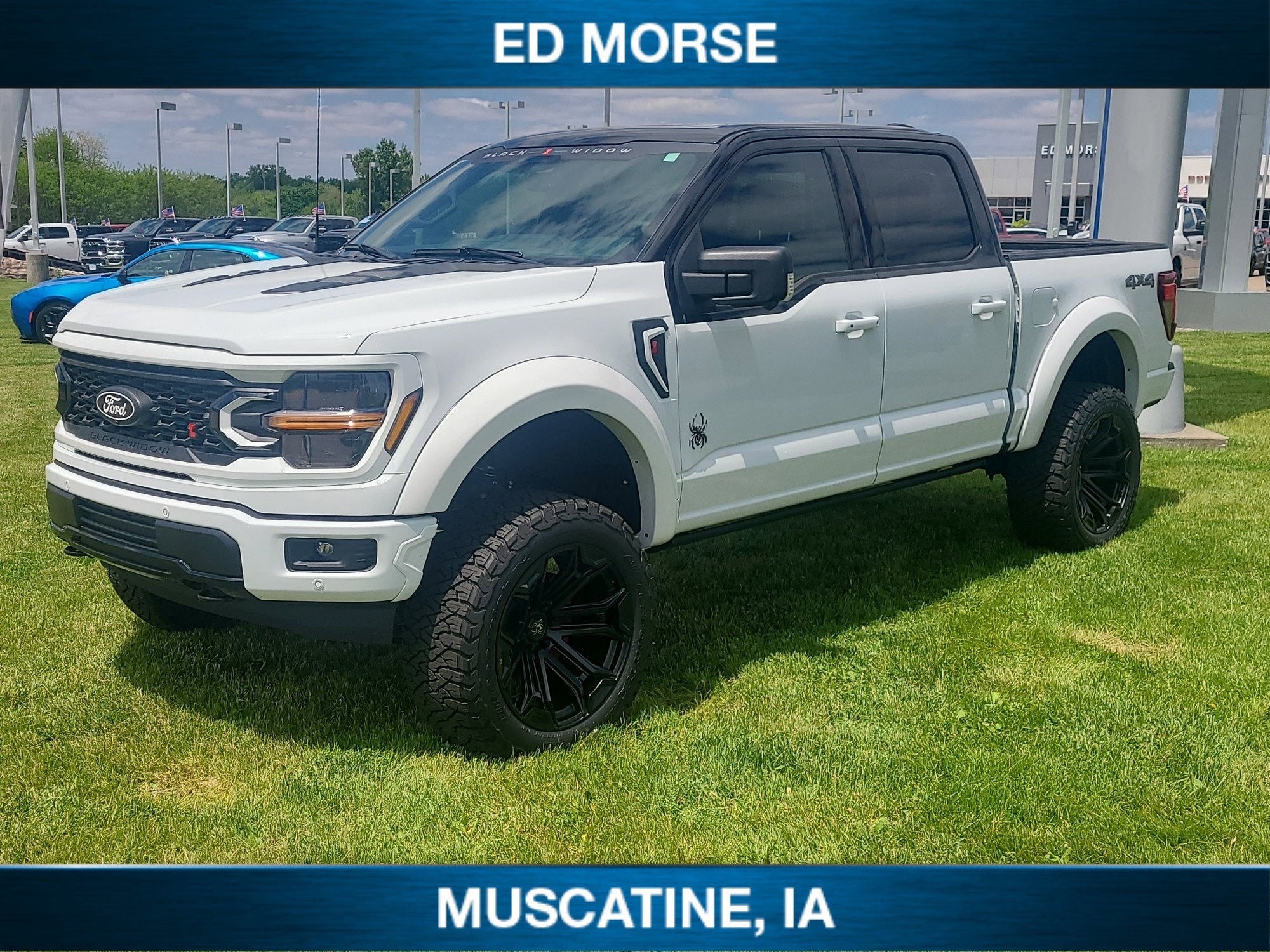 2026 Ford F-150 XLT 4x4 SuperCrew 5-1/2 Box's photo