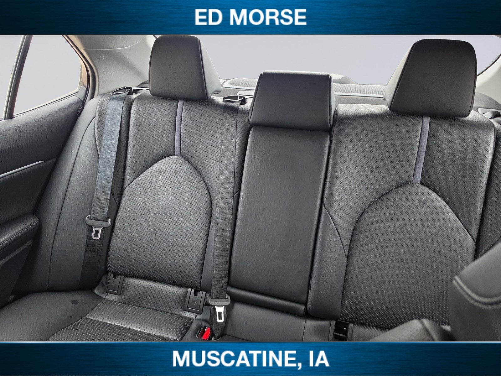 2021 Toyota Camry XLE Hybrid