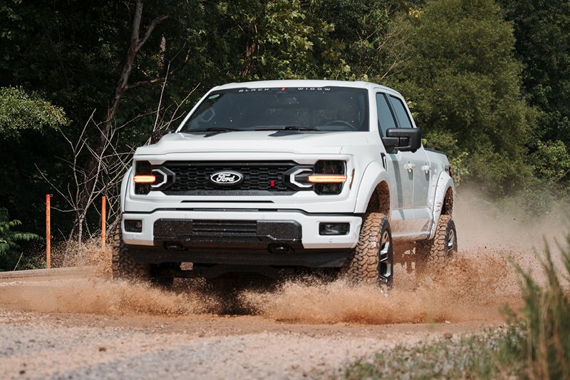 Black Widow F-150